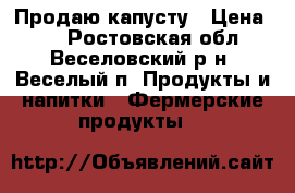 Продаю капусту › Цена ­ 6 - Ростовская обл., Веселовский р-н, Веселый п. Продукты и напитки » Фермерские продукты   